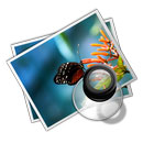 手機網(wǎng)站建設多少錢