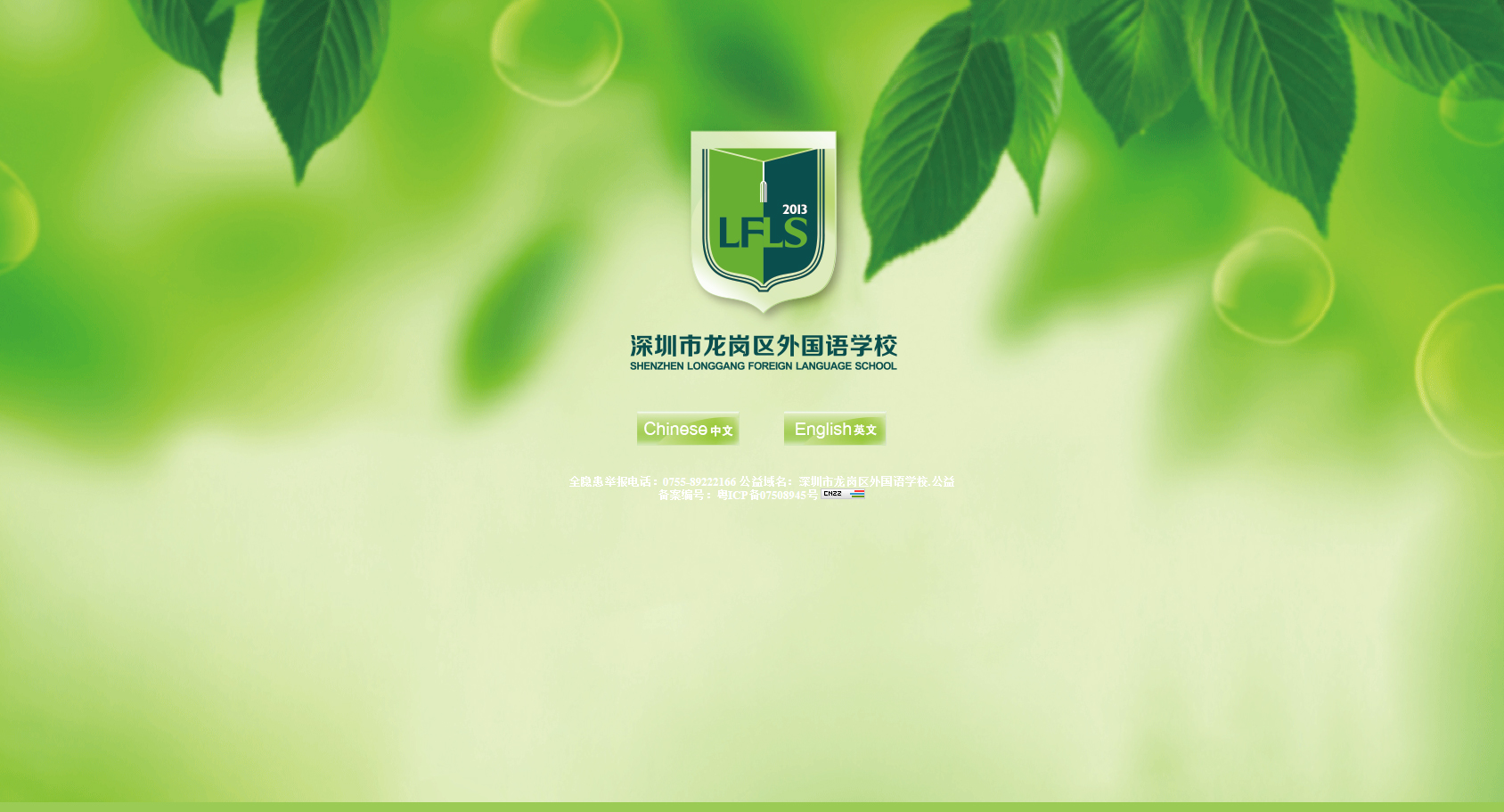 龍崗網(wǎng)站推廣_龍崗seo__龍崗網(wǎng)站優(yōu)化-外國語學(xué)校網(wǎng)站效果圖【深一集團】